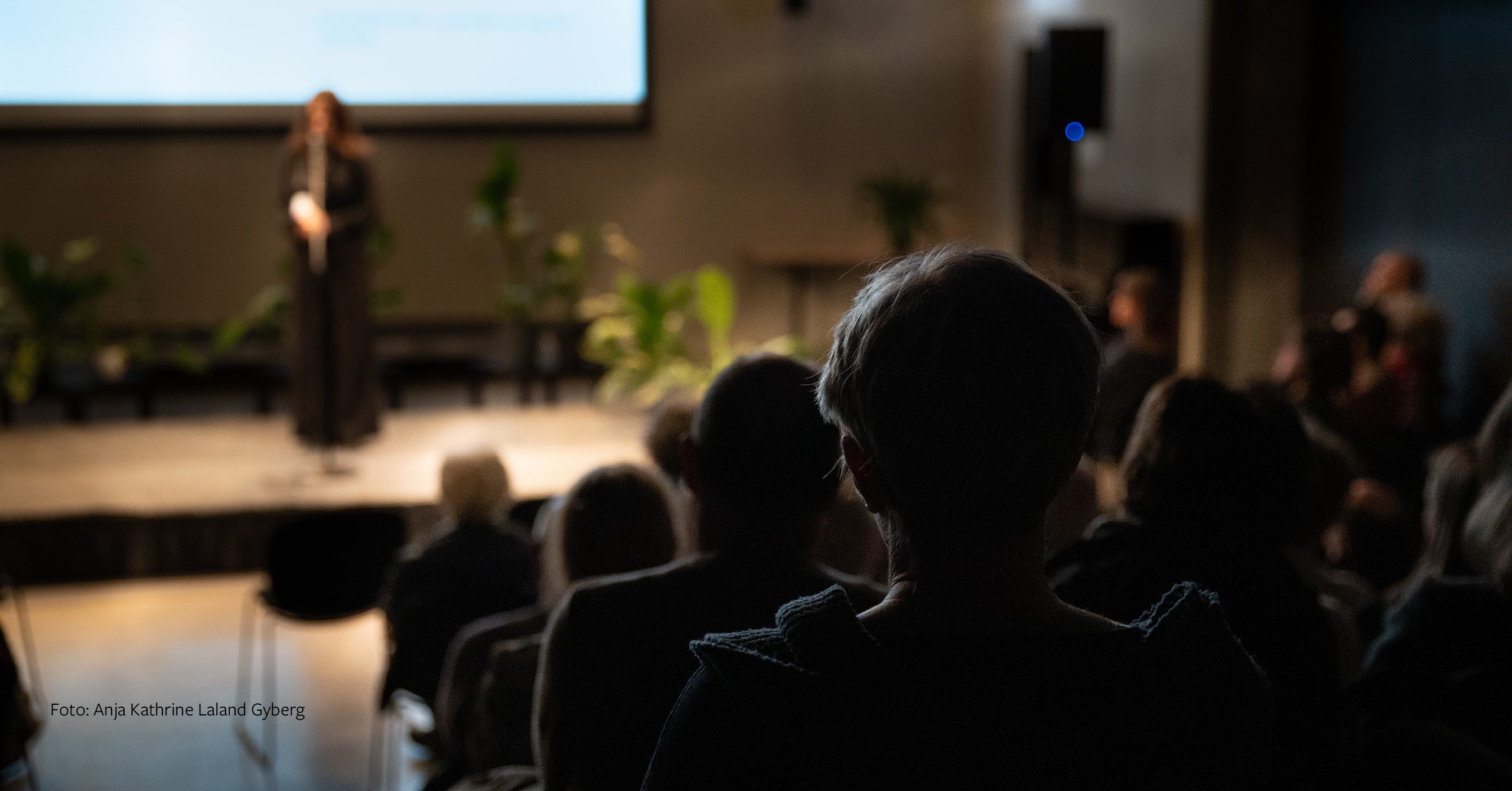 Åpen solidaritetslunsj